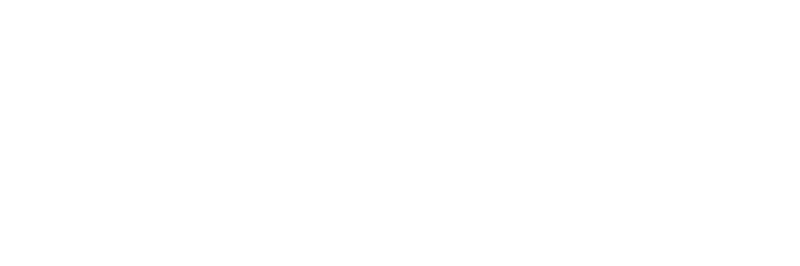 Credofly Logo